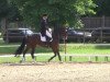 dressage horse FBW Dolce Vita (Württemberger, 2004, from Donautanz)