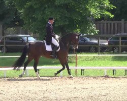 dressage horse FBW Dolce Vita (Württemberger, 2004, from Donautanz)