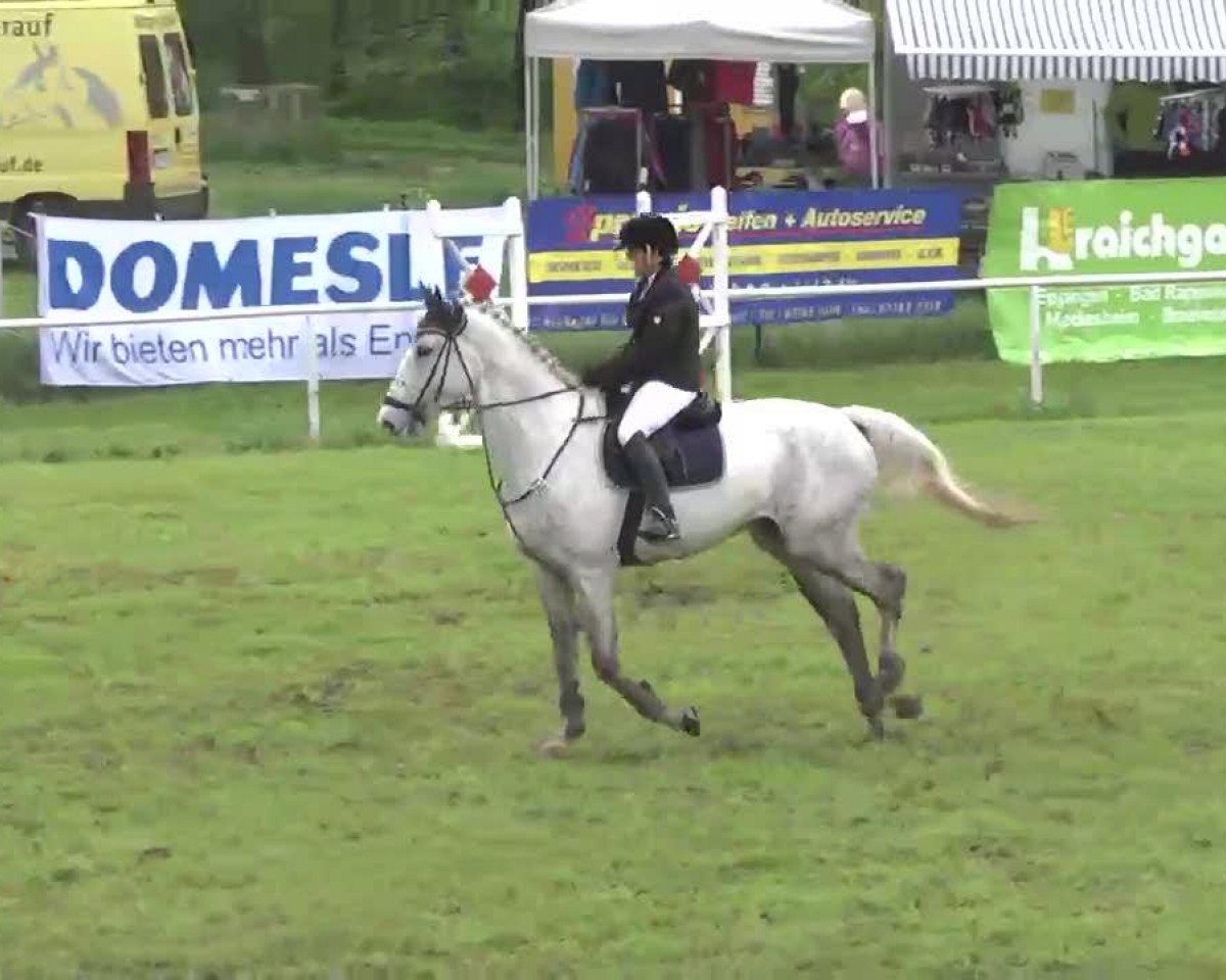 jumper Collin 57 (Württemberger, 2003, from Carlsson G)