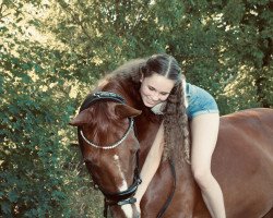 dressage horse Ladon 4 (Rhinelander, 2006, from Louis le Bon)