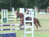 jumper Olivia 142 (German Riding Pony, 2006, from Oweron)