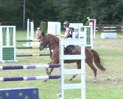 jumper Olivia 142 (German Riding Pony, 2006, from Oweron)