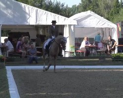 dressage horse Nahema 2 (German Riding Pony, 2004, from Heidbergs Nancho Nova)