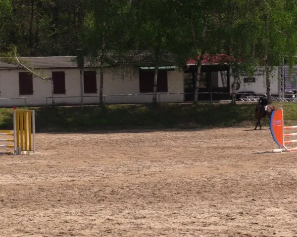 Reitturnier Lgl.-Oberhain, B95 2021