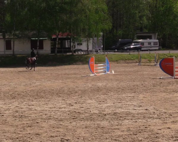Reitturnier Lgl.-Oberhain, B95 2021