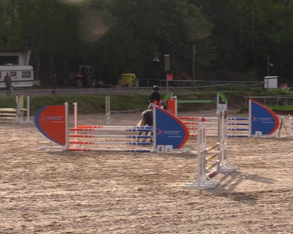 Reitturnier Lgl.-Oberhain, B95 2021