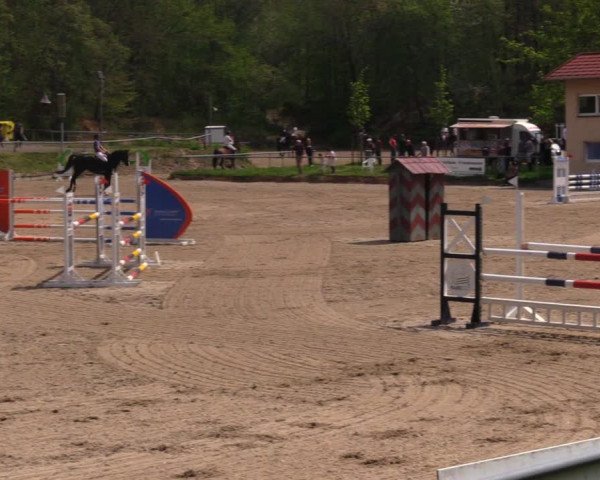 Reitturnier Lgl.-Oberhain, B95 2021