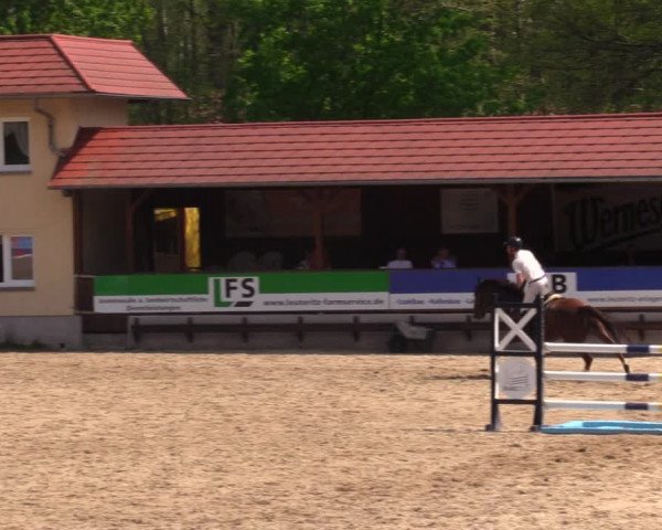 Reitturnier Lgl.-Oberhain, B95 2021