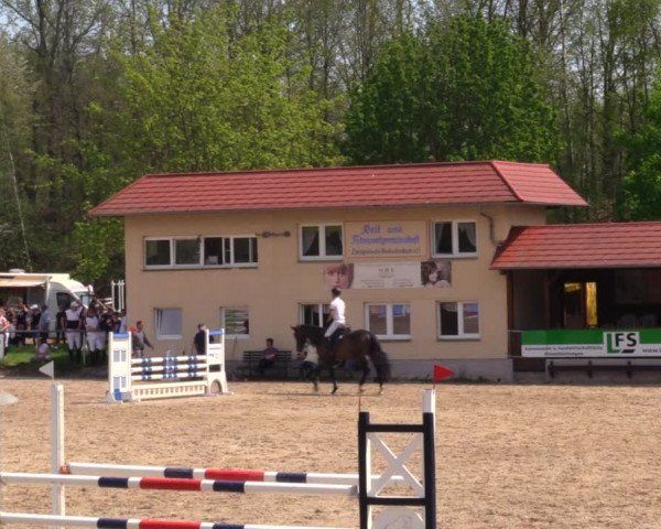 Reitturnier Lgl.-Oberhain, B95 2021