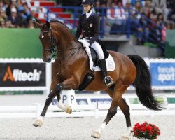 dressage horse Verdades (KWPN (Royal Dutch Sporthorse), 2002, from Florett As)