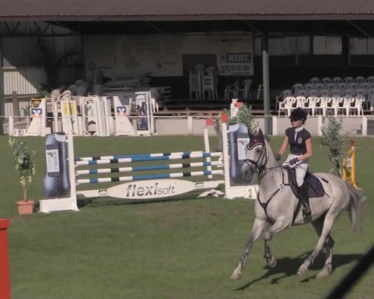 jumper Luccatoni 2 (Westphalian, 2003, from Landilot)