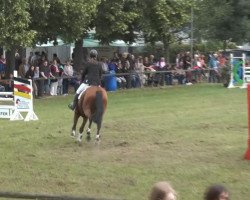 jumper Lucky Luke H (Oldenburg, 2004, from Lycos)