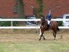 broodmare Landparty (Oldenburg show jumper, 2005, from Lycos)