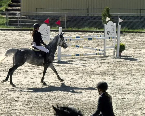 Reitturnier Schaffhausen 2021