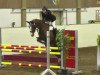 jumper Gilera (Hanoverian, 2001, from Goodman)