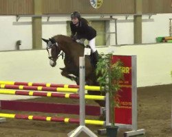 jumper Gilera (Hanoverian, 2001, from Goodman)