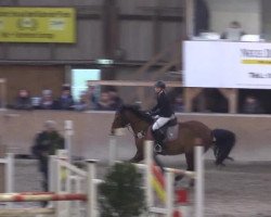 jumper Graf (Hanoverian, 2002, from Geheimtipp)