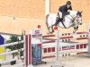 jumper Iquigene (Oldenburg show jumper, 2006, from Incello)