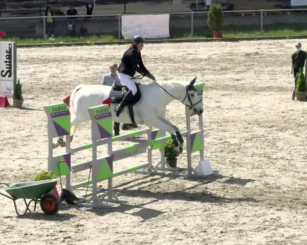 Reitturnier Schaffhausen 2021
