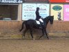 Dressurpferd Alesi 21 (Trakehner, 1997, von Bellheim)