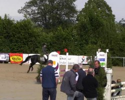 dressage horse Bella Vesta (Oldenburg, 2004, from Barrichello)