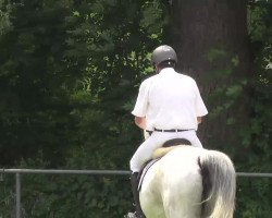 Springpferd Lebau (Deutsches Sportpferd, 2005, von L'Ami)