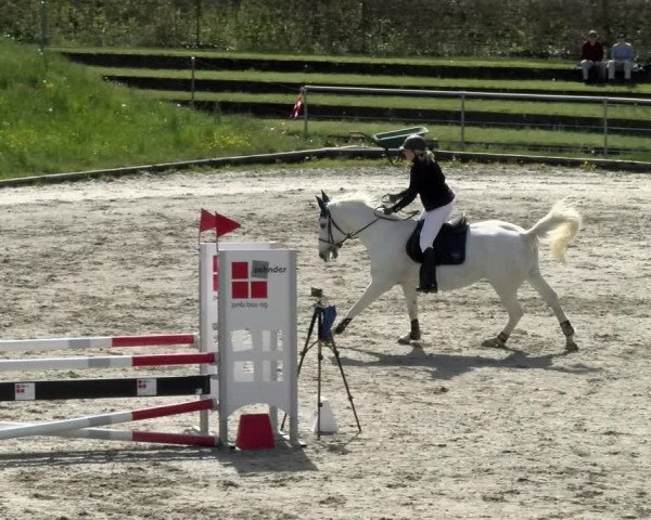 Reitturnier Schaffhausen 2021