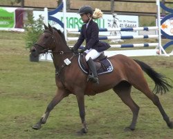 Springpferd Sussi Z (Deutsches Reitpony, 2002, von Bjirmen's Falco)