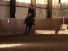 dressage horse River Dance V (Rhinelander, 2002, from Rockwell)