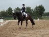 dressage horse Royalton K (Hanoverian, 2005, from Rotspon)