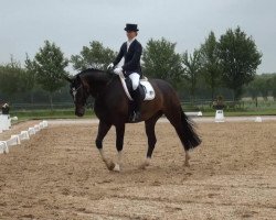 dressage horse Royalton K (Hanoverian, 2005, from Rotspon)