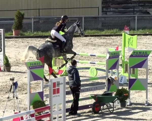 Reitturnier Schaffhausen 2021