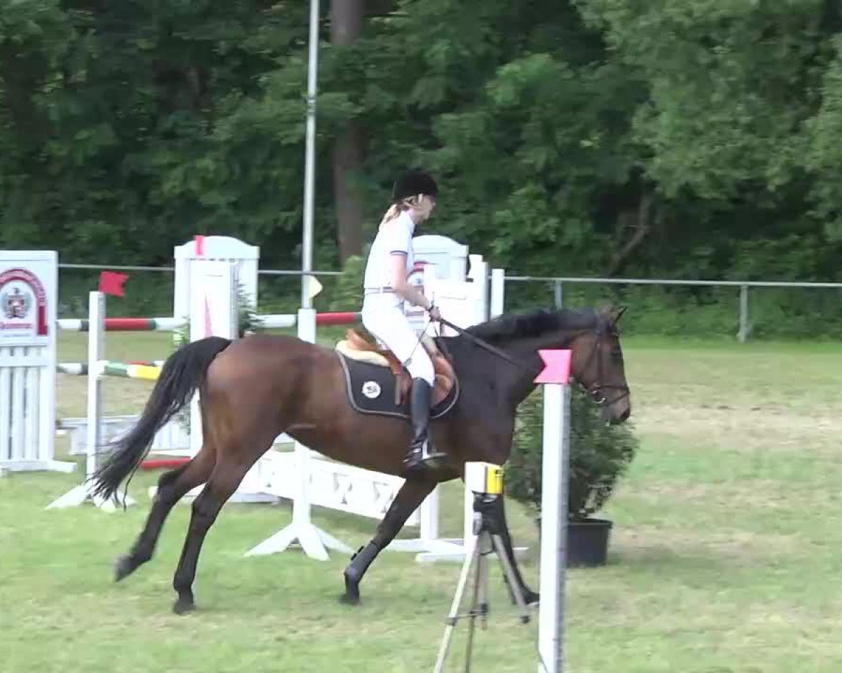 broodmare Cykie (Württemberger, 1998, from Carolus I)