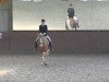 Dressurpferd Dancing Gold Ka (Deutsches Reitpony, 2007, von Der Harlekin B)