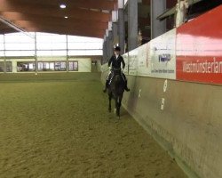 dressage horse Rubino Royal (Westphalian, 2001, from Rubin Royal OLD)