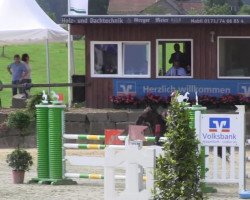 jumper Bruno Banani 3 (German Riding Pony, 2000, from Blind Date Mister)