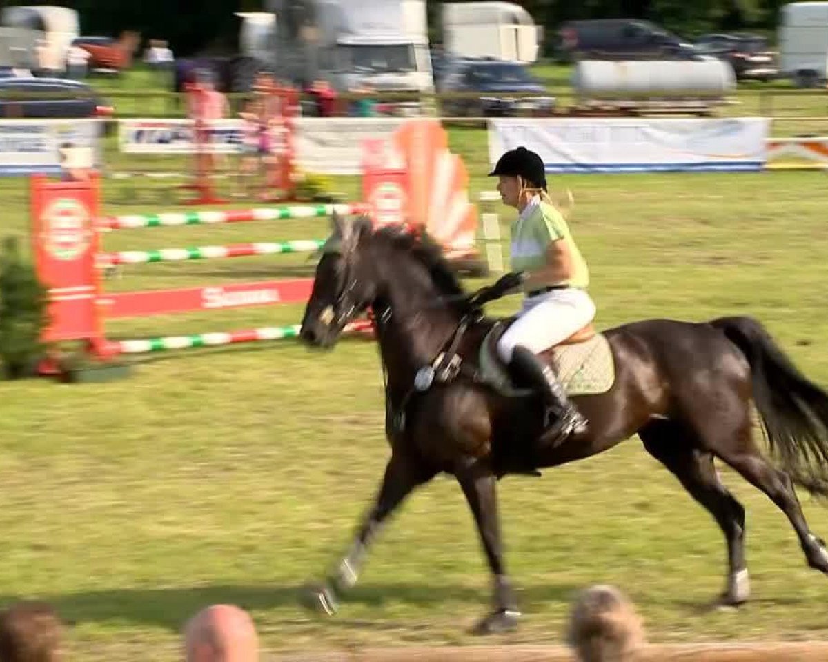 broodmare Fame (Oldenburg, 2002, from Concetto I)