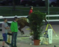 jumper Roxette 126 (Oldenburg, 2003, from Rubin Royal OLD)