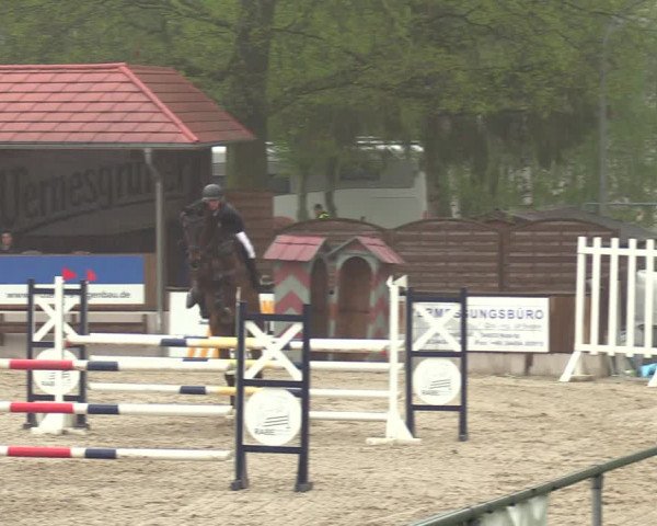 Reitturnier Lgl.-Oberhain, B95 2021