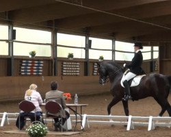 dressage horse Rossignol (Oldenburg, 1998, from Regazzoni)