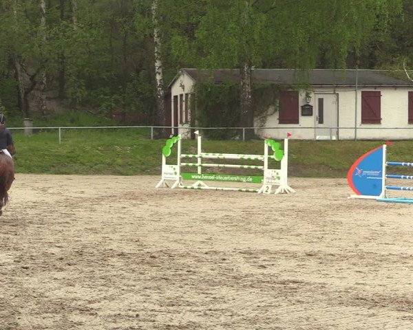 Reitturnier Lgl.-Oberhain, B95 2021