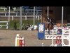 jumper Best of Blues (Trakehner, 2006, from Kairos)