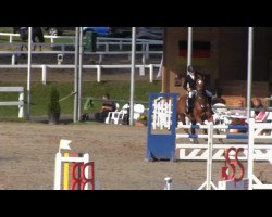 jumper Best of Blues (Trakehner, 2006, from Kairos)