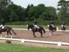 dressage horse Benny Bärenstark (German Riding Pony, 2000, from Brillant)