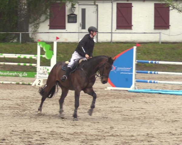 Reitturnier Lgl.-Oberhain, B95 2021