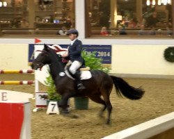 jumper Pott's Pelle WE (German Riding Pony, 2006, from FS Pour l'Amour)