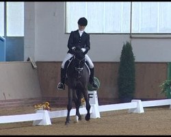 dressage horse Rico 646 (German Riding Pony, 2003, from Renoir)