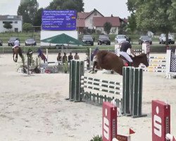 jumper Carlandro (Bavarian, 2004, from Carlando I)