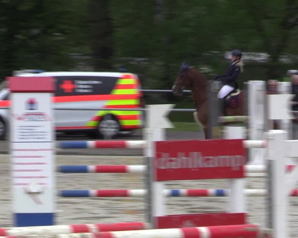 Reitturnier Olfen-Vinnum 2021