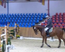 jumper Campetino (Oldenburg, 2001, from Camporado B)